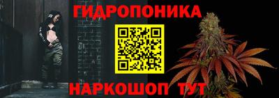 прущие грибы Конаково