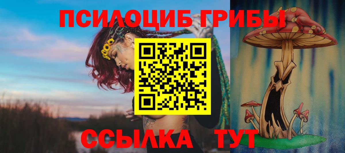 Галлюциногенные грибы Magic Shrooms  Галлюциногенные грибы MAGIC MUSHROOMS  Каспийск  где найти   Вход с VPN 