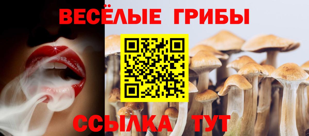 Псилоцибиновые грибы прущие грибы Каспийск